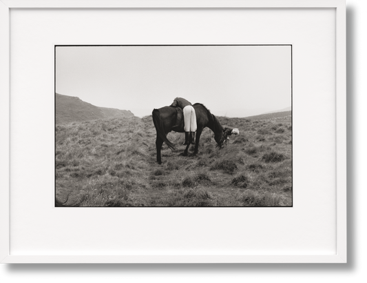 Linda McCartney. Life in Photographs, Art Edition No. 1–125 ‘Horse’ (English) (SA)