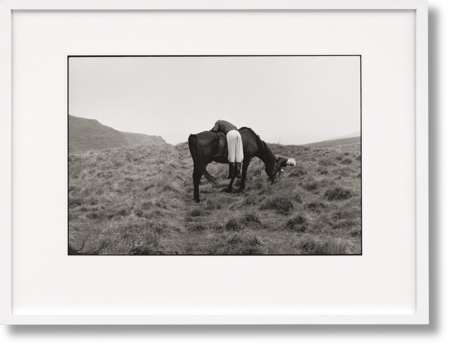 Linda McCartney. Life in Photographs, Art Edition No. 1–125 ‘Horse’ (English) (AP)