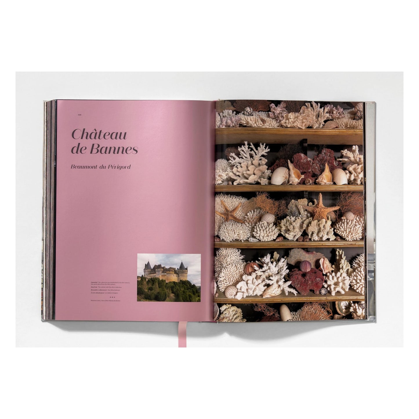 Massimo Listri. Cabinet of Curiosities (German, French, English)