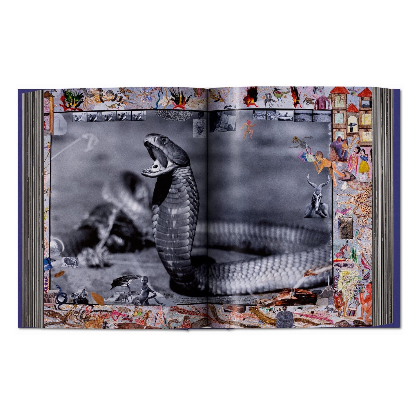 Peter Beard (German, French, English)