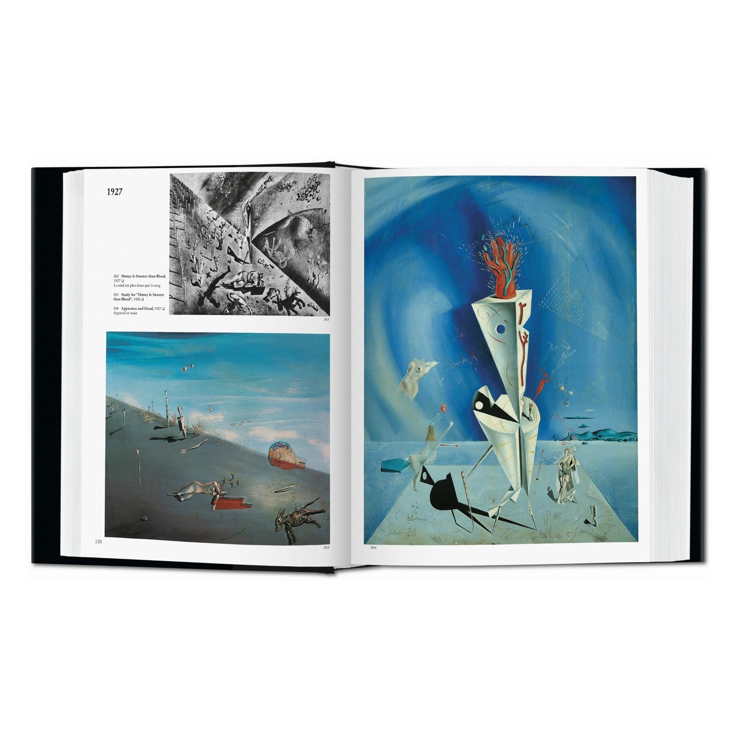 Dalí. L'opera pittorica (Italian)