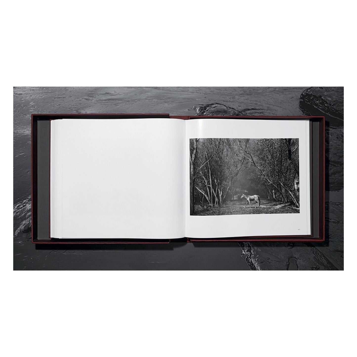 Sebastião Salgado. Kuwait. A Desert on Fire (English)