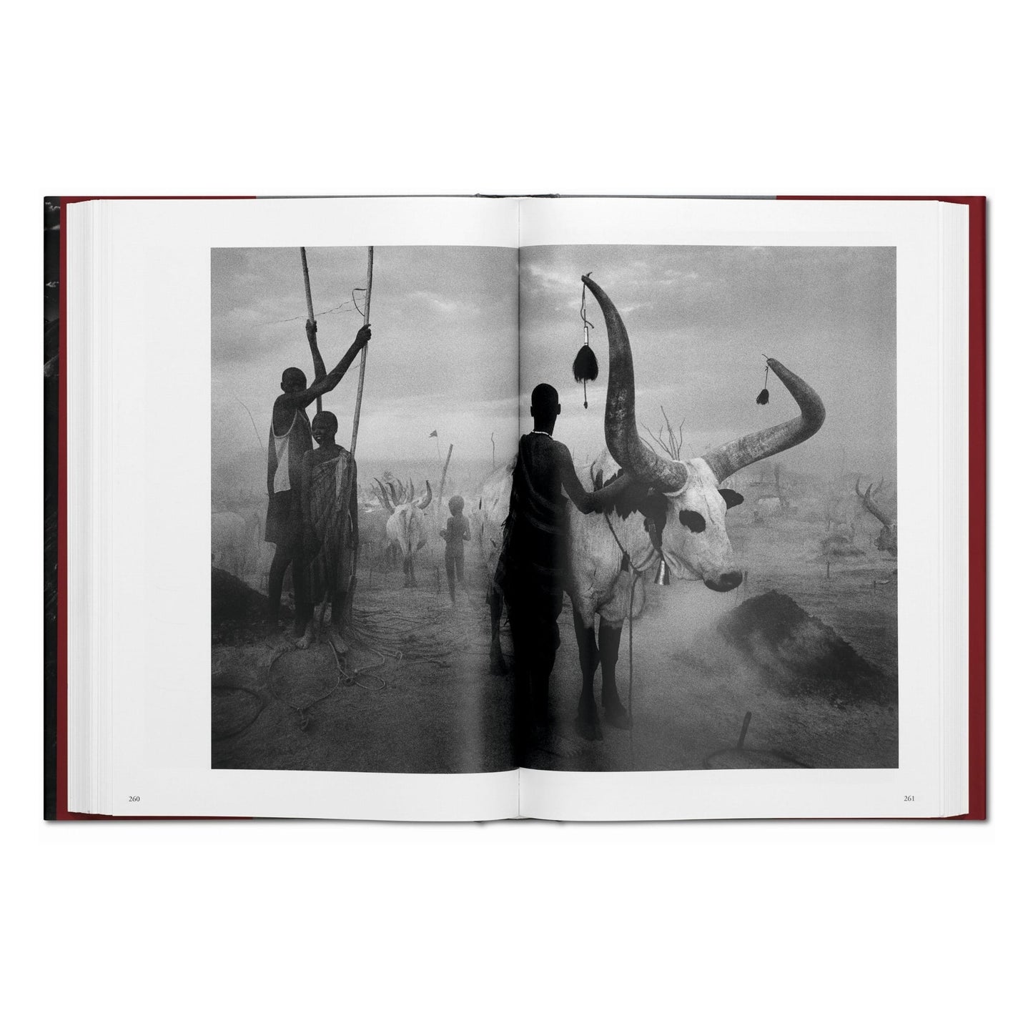Sebastião Salgado. Genesis (French)