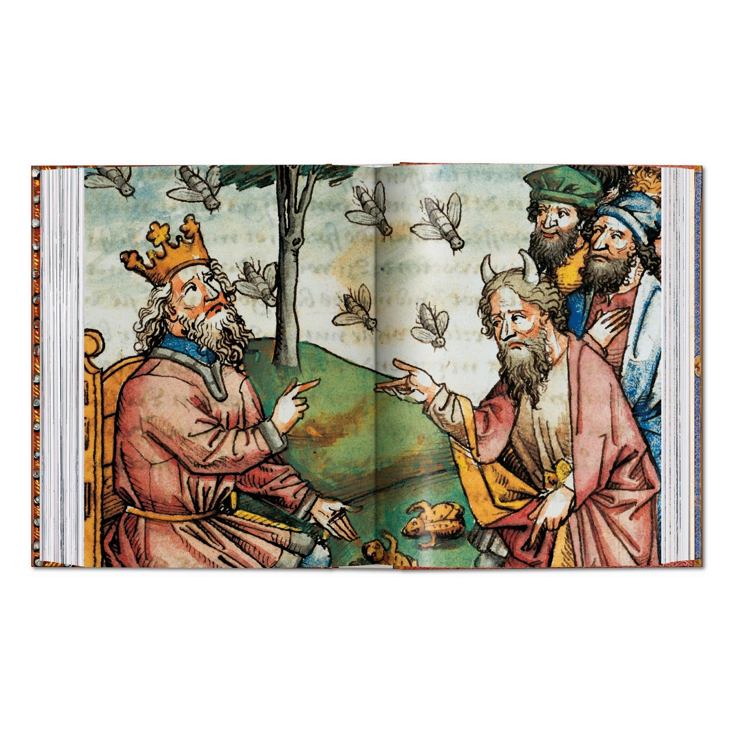 Das Buch der Bibeln. 40th Ed. (German)