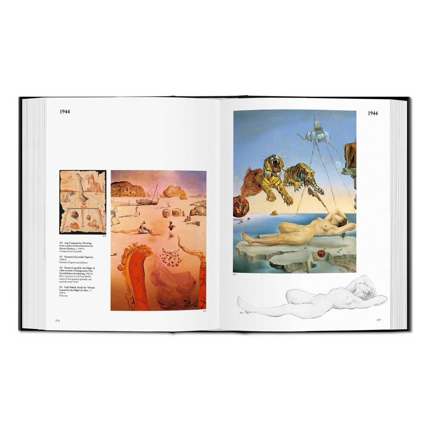 Dalí (Portuguese)