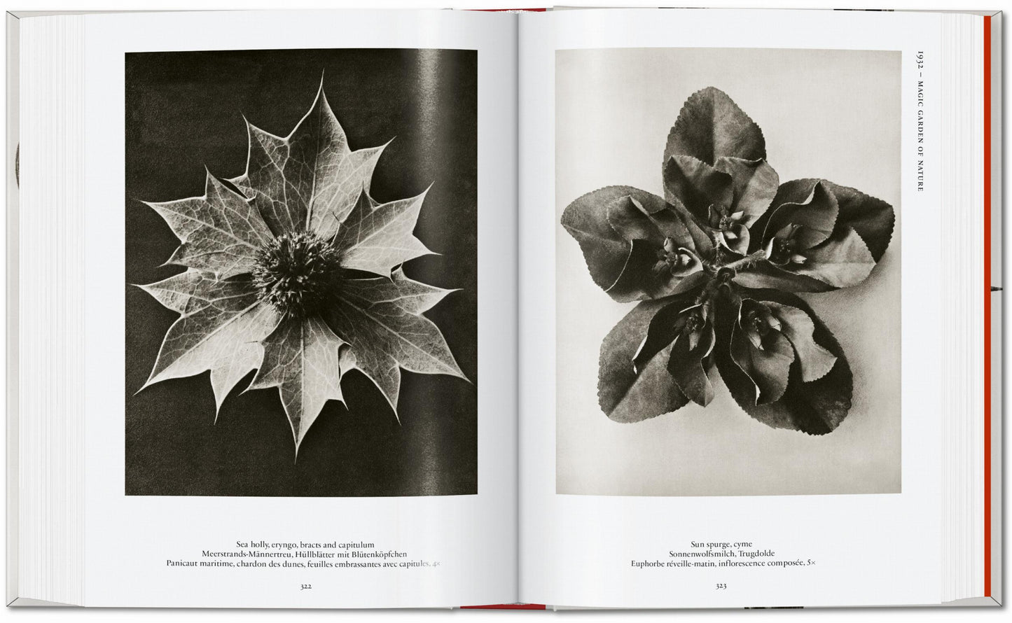 Karl Blossfeldt. The Complete Published Work. 40th Ed. (German, French, English)