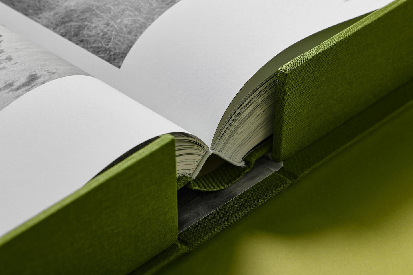 Bruce Weber. My Education. Art Edition No. 101–200, ‘Michael St. Pierre with Bonkers, Thousand Oaks, California’, 2004 (German, French, English) (AP)