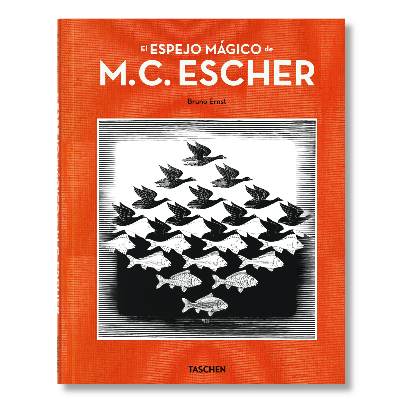 El espejo mágico de M.C. Escher (Spanish)