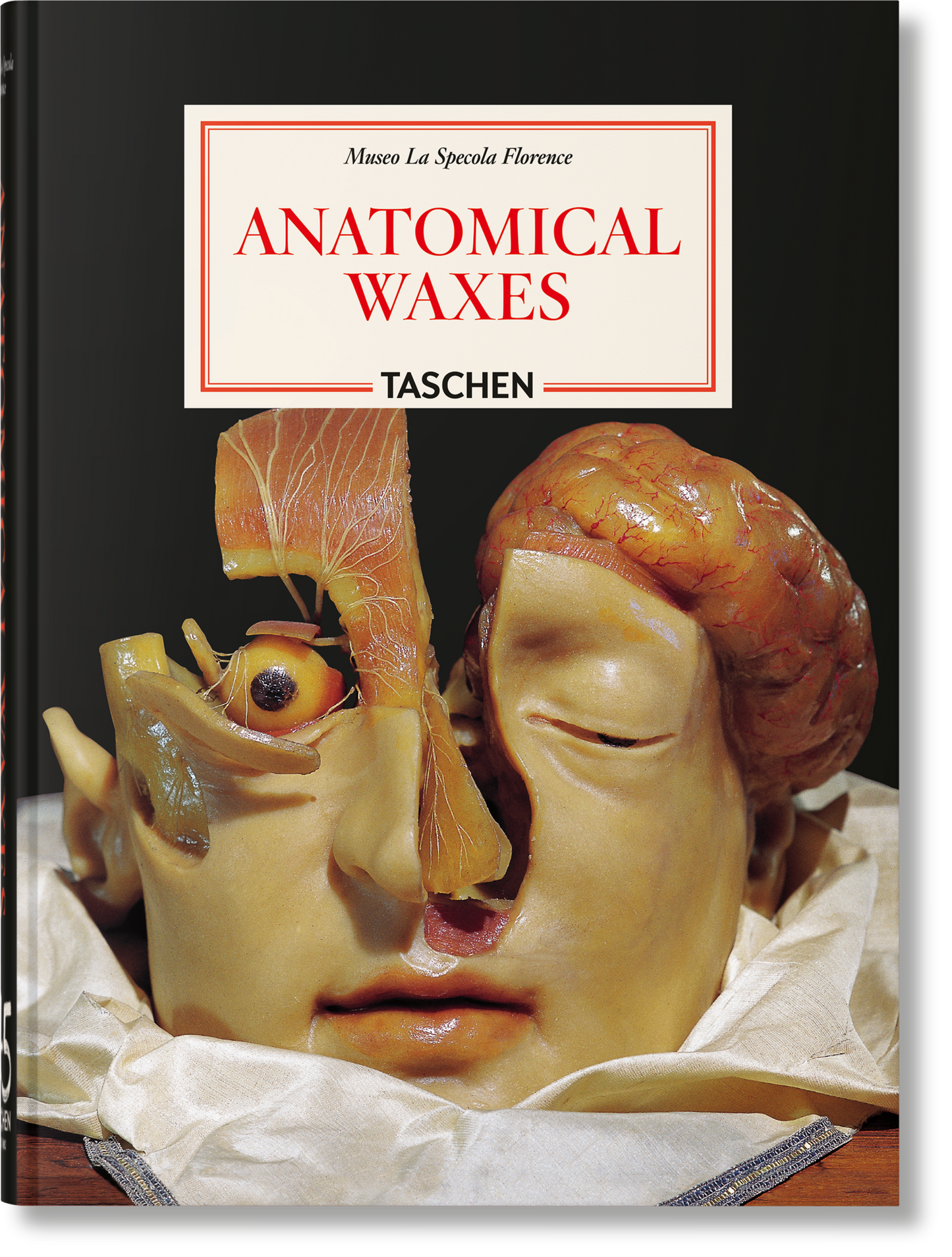 Anatomical Waxes. 45th Ed. (German, French, English)