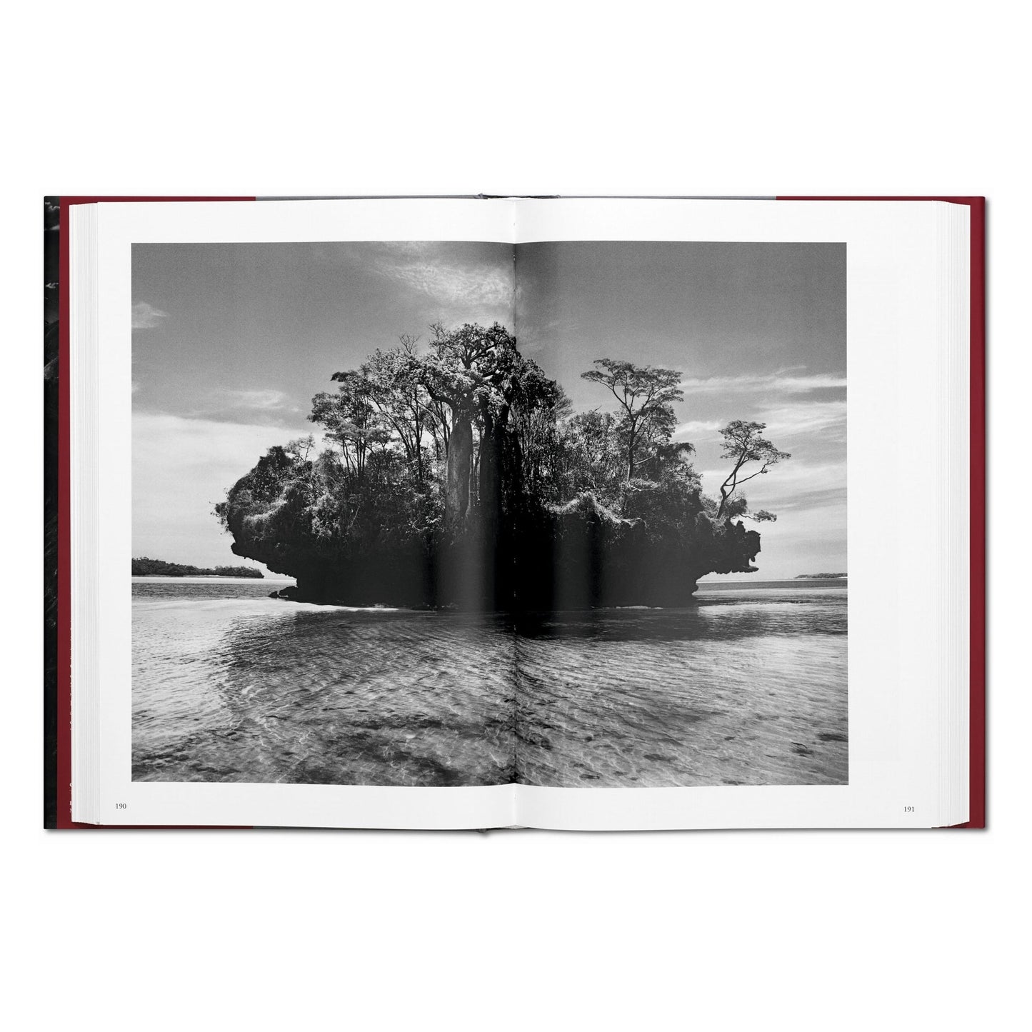 Sebastião Salgado. Gênesis (Portuguese)