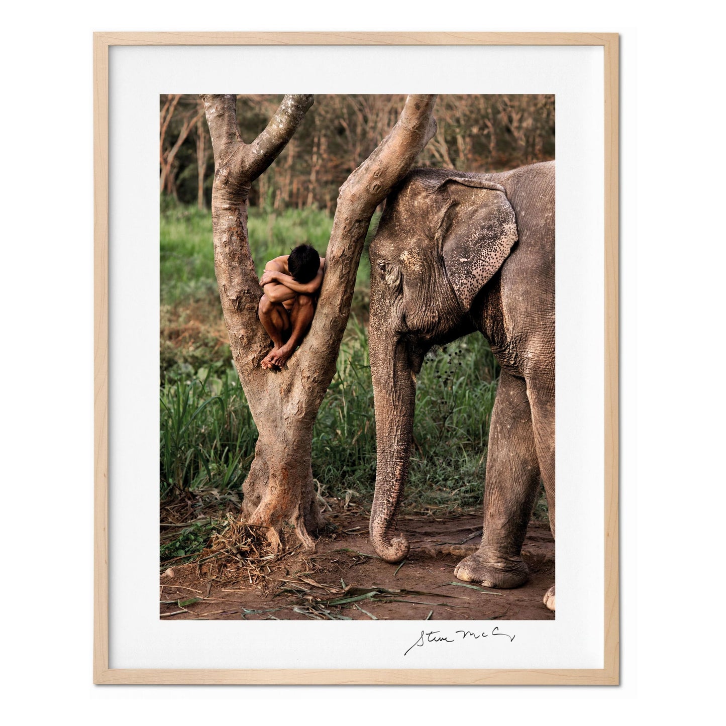 McCurry, Animals, Art A, Chiang Mai (German, French, English) (SA)