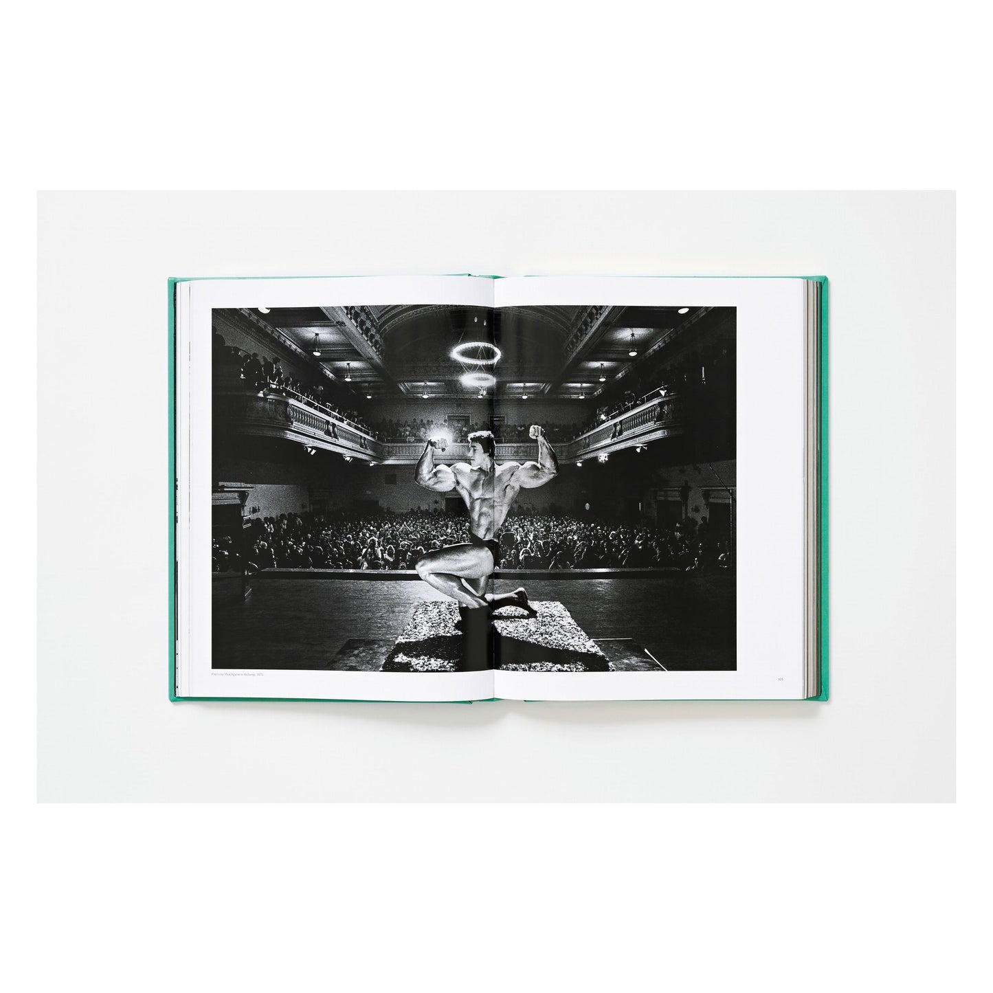 ARNOLD. Capitello Edition (English)
