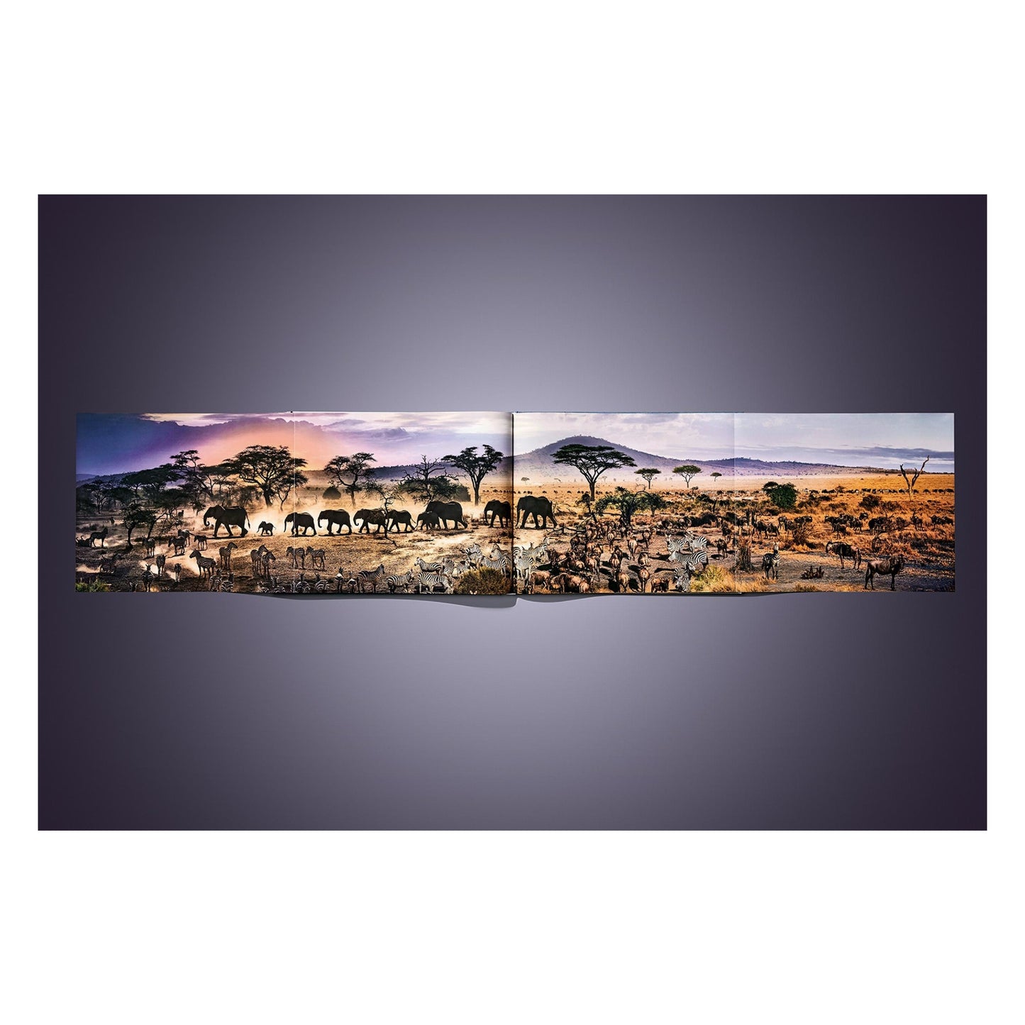 Stephen Wilkes. Day to Night. Art Edition No. 101–200 ‘Grand Canyon, Arizona, 2015’ (German, French, English)