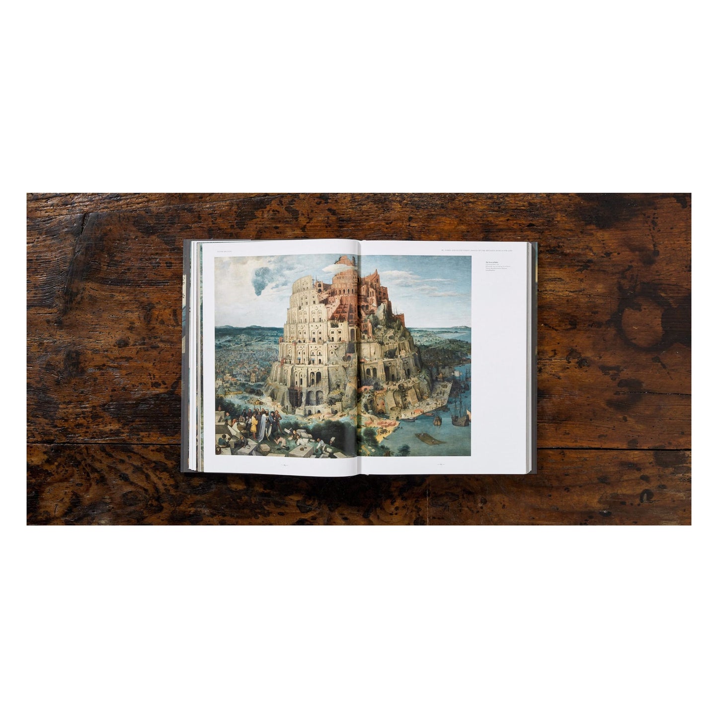 Bruegel. Das vollständige Werk (German)