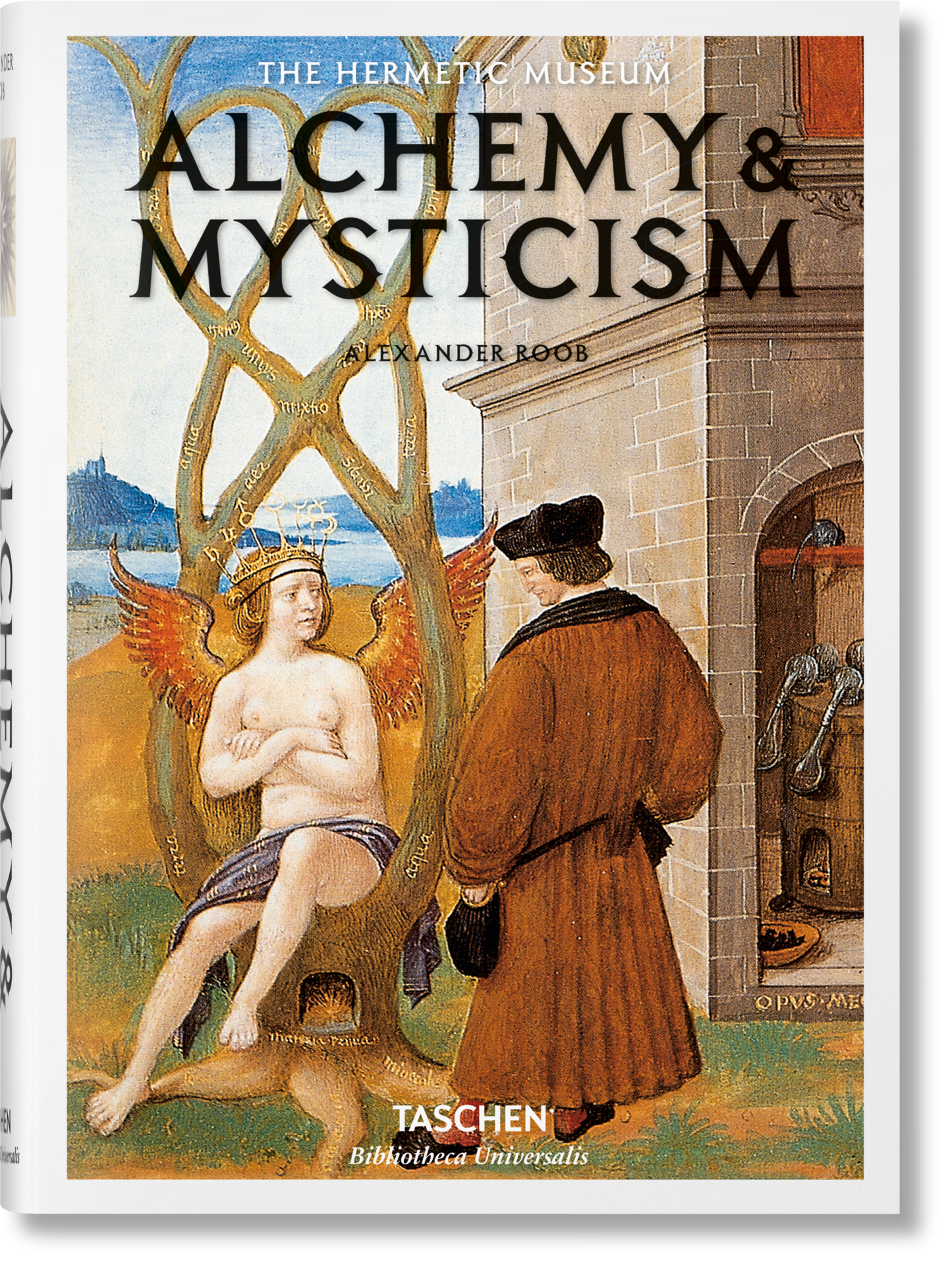 Alchemie & Mystiek (Dutch)