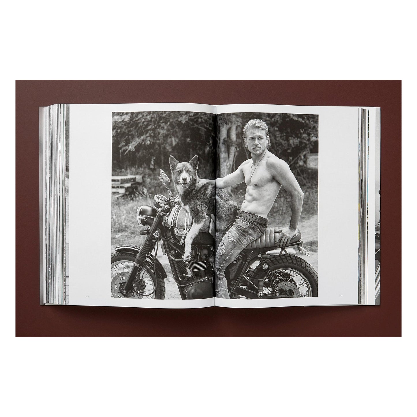 Bruce Weber. The Golden Retriever Photographic Society. Art Edition No. 101–200 ‘Hud, New York City, 2011’ (German, French, English)