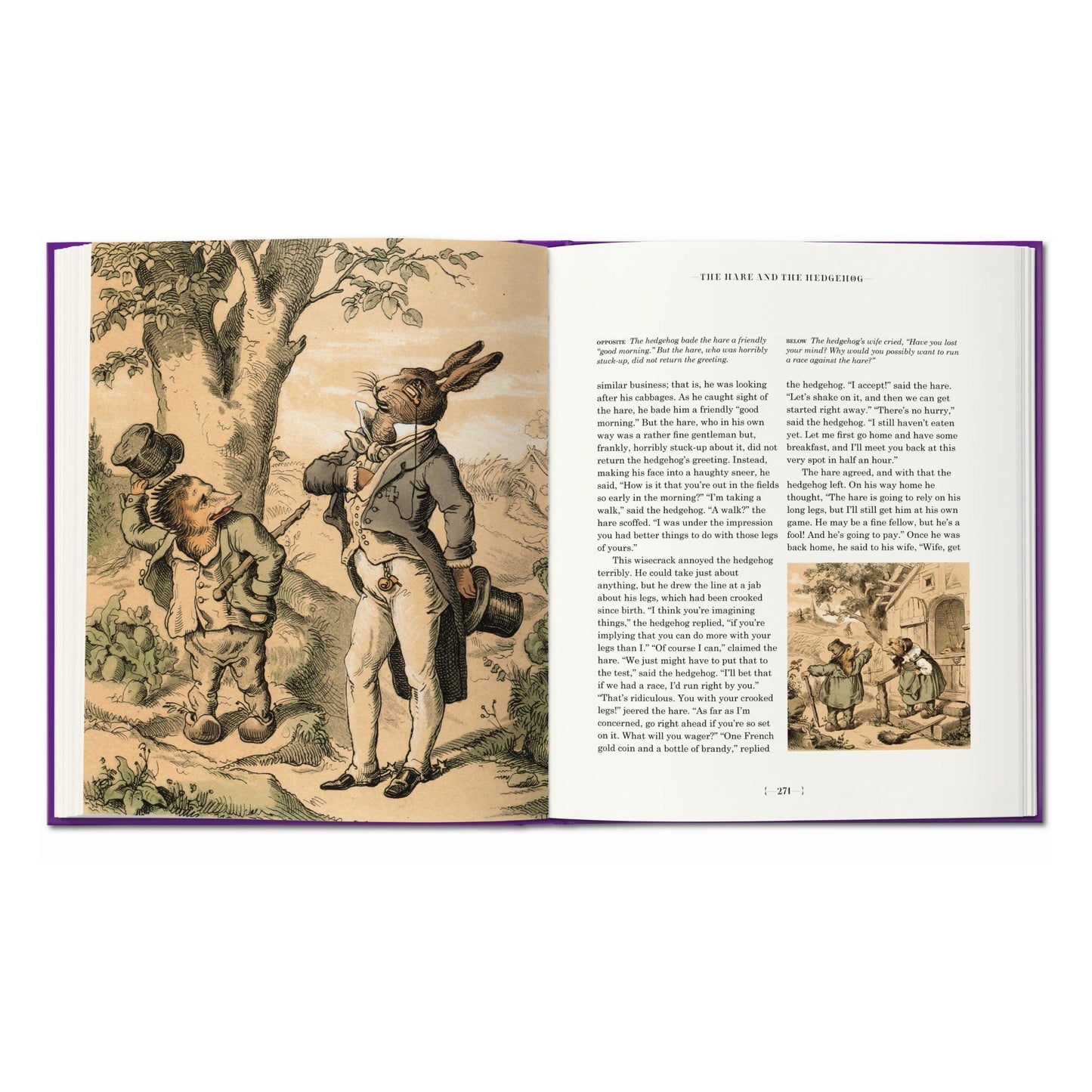 Die Märchen der Brüder Grimm (German)