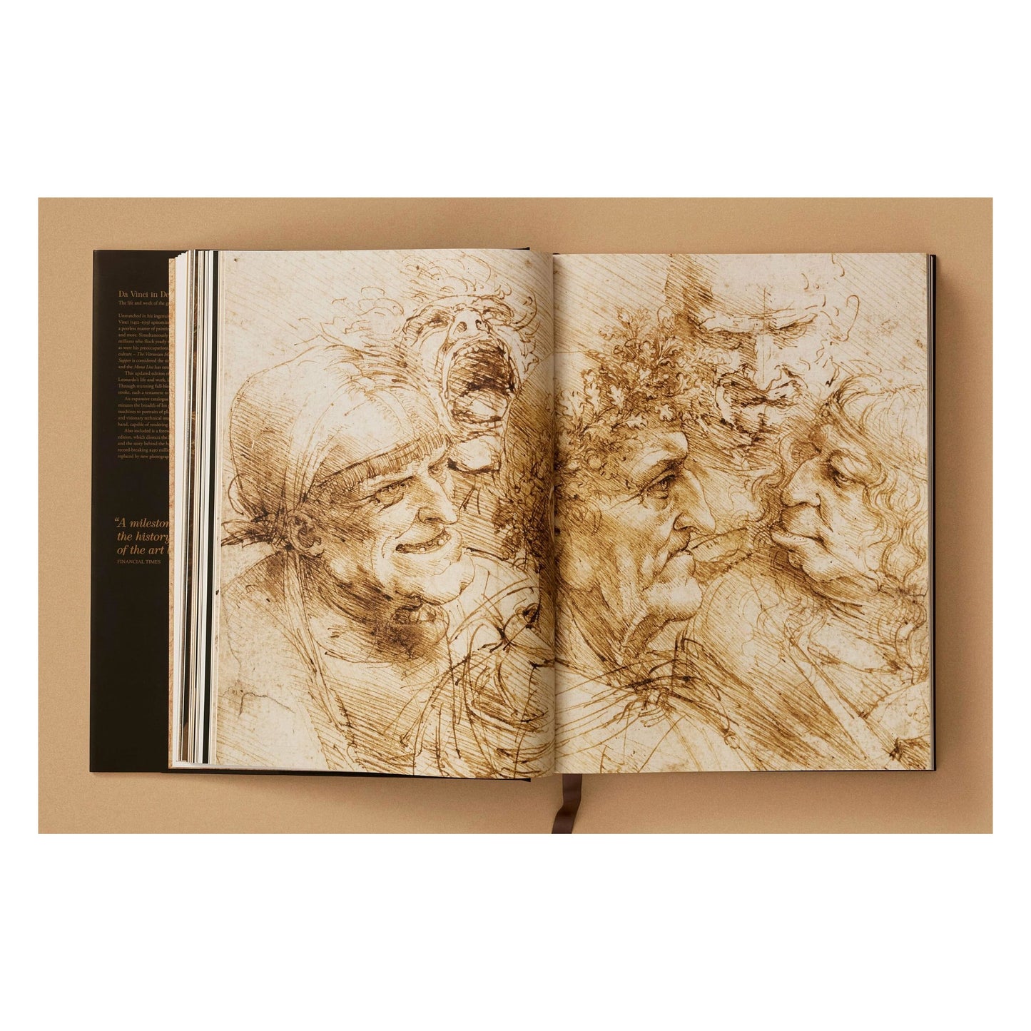 Leonardo. Sämtliche Gemälde und Zeichnungen (German)