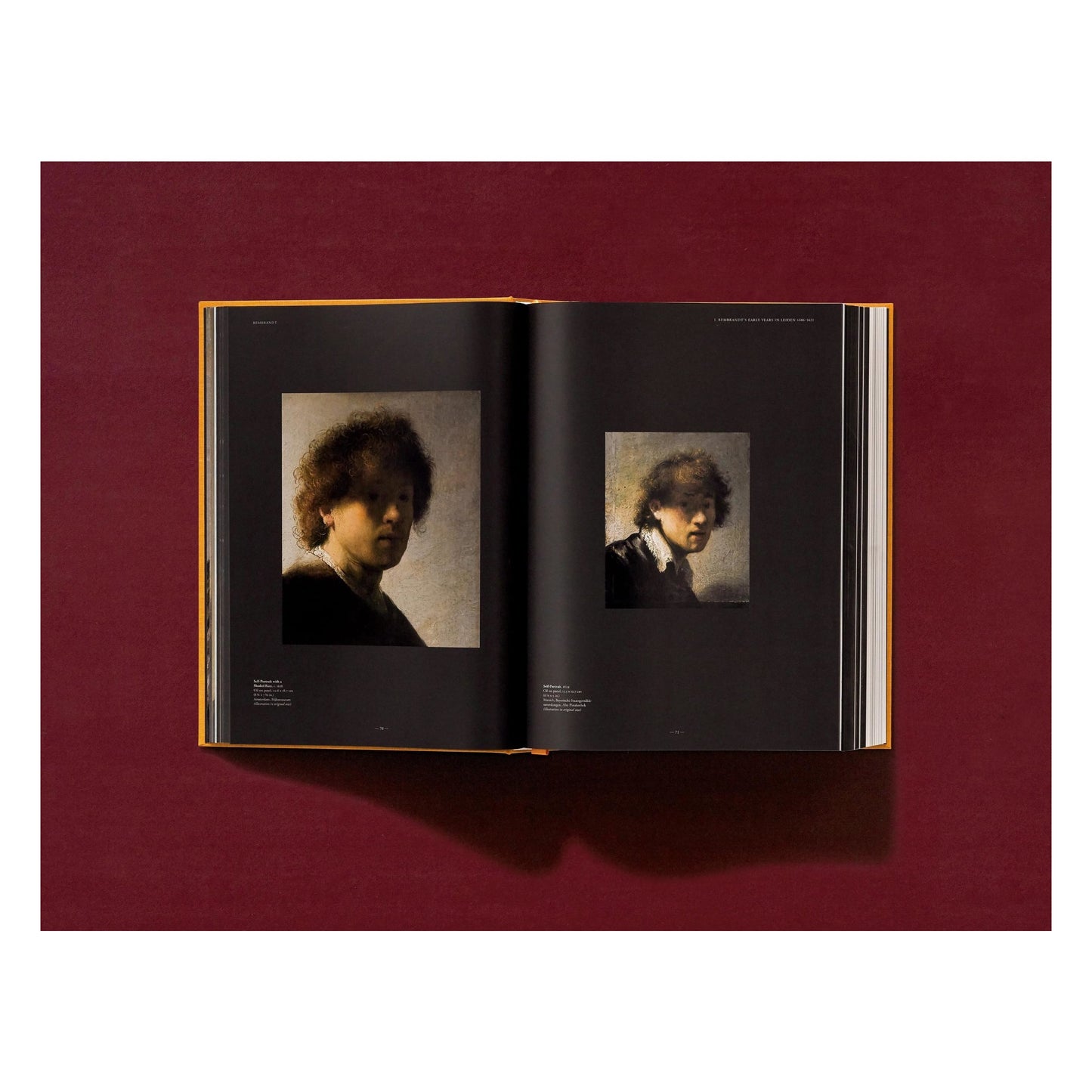 Rembrandt. Alle schilderijen (Dutch)