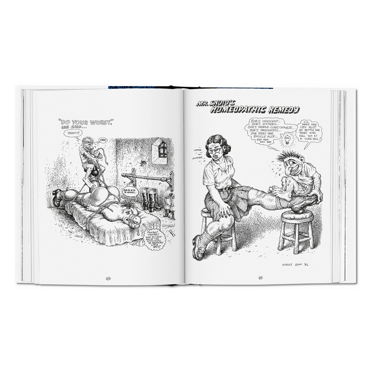 Robert Crumb. Sketchbook Vol. 4. 1982–1989 (English)