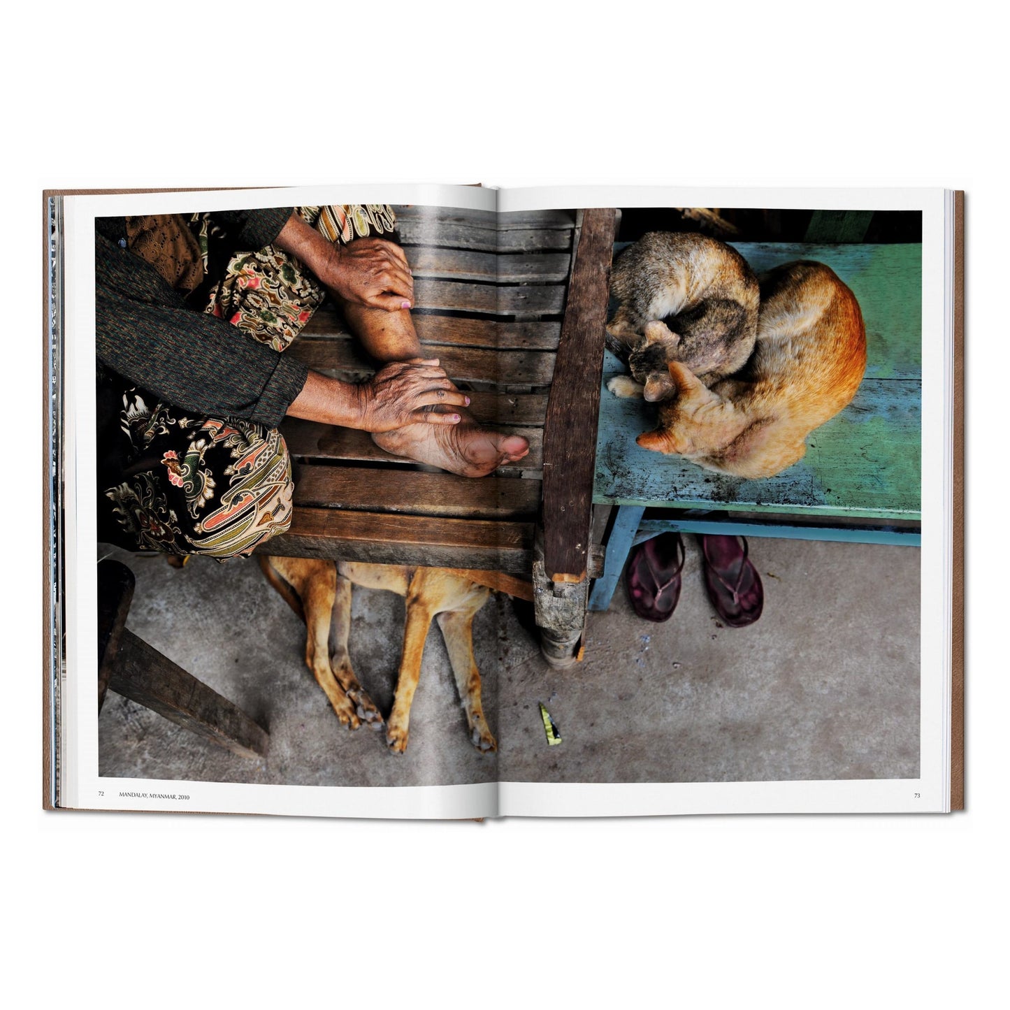 McCurry, Animals, Art A, Chiang Mai (German, French, English) (SA)