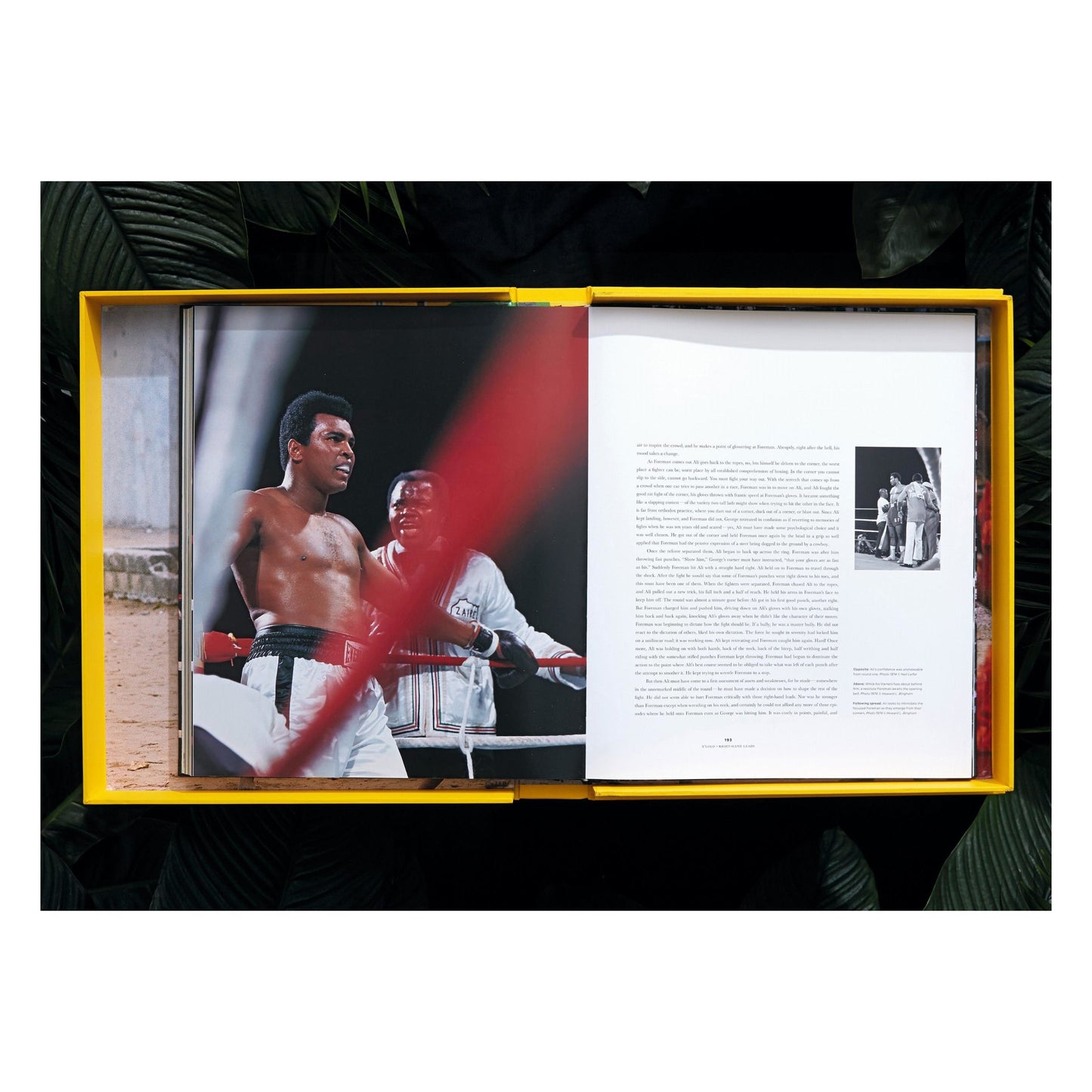 Norman Mailer. N.Leifer. H.Bingham. The Fight, Art Edition No. 1–125, Neil Leifer ‘Ali vs. Foreman – Ali Glaring at Foreman’ (English) (AP)
