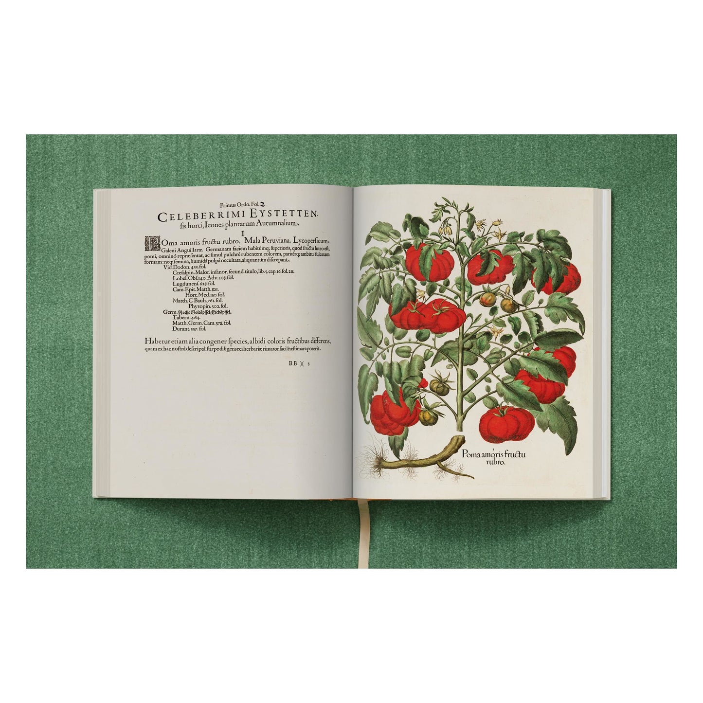 Basilius Besler. The Garden at Eichstätt (German, French, English)