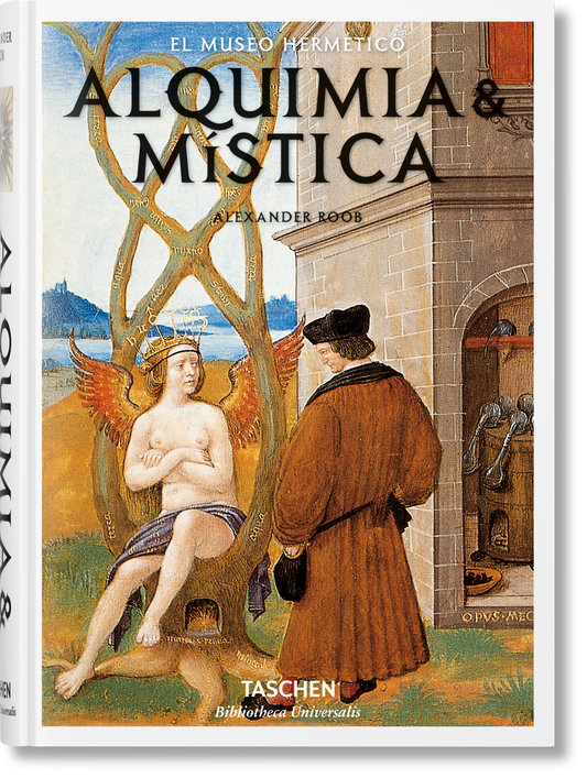 Alquimia & mística (Spanish)