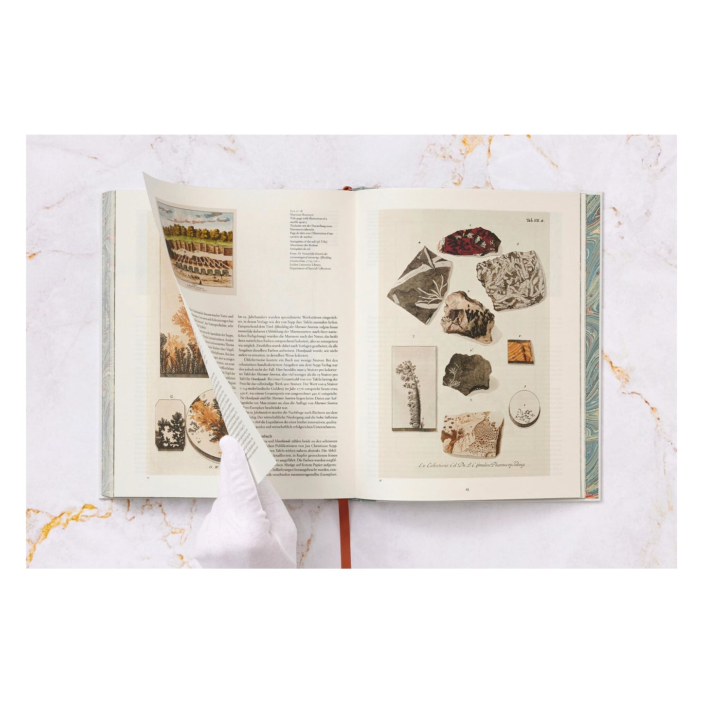 Jan Christiaan Sepp. The Book of Marble (German, French, English)