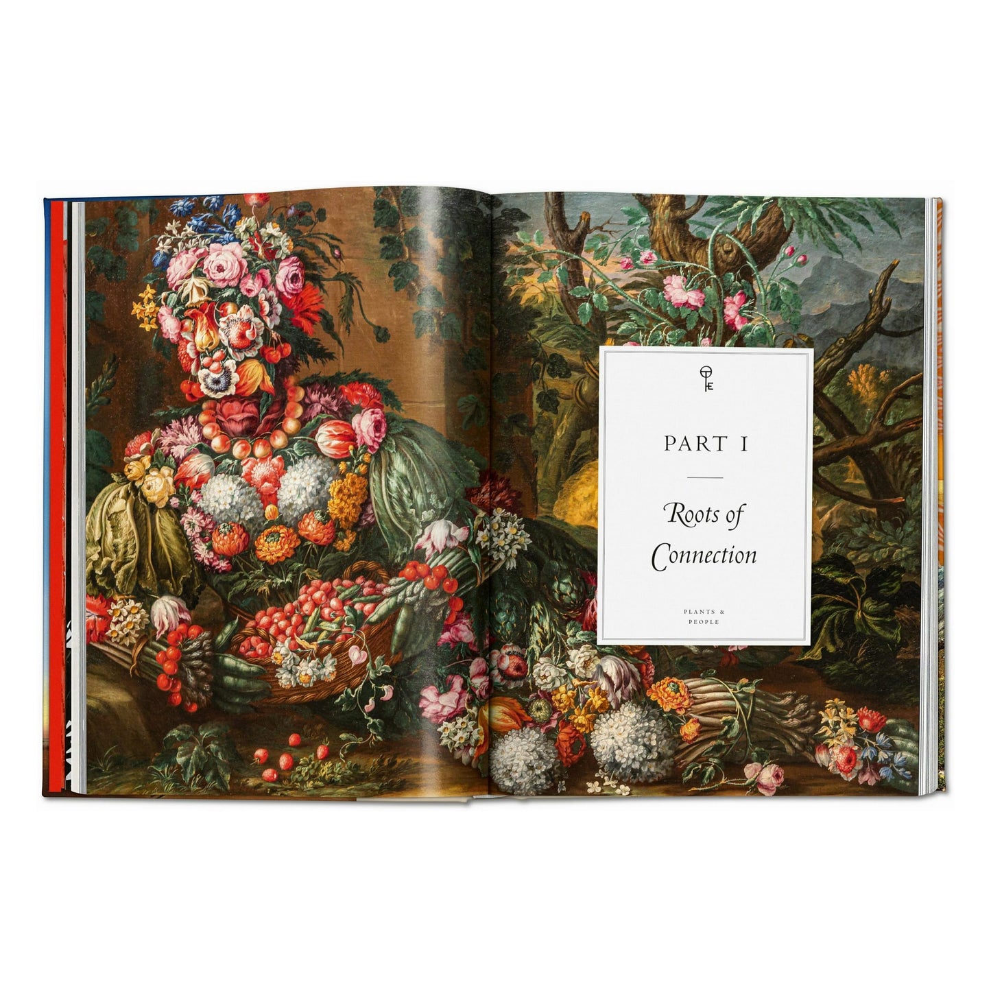 Pflanzen-Magie. Bibliothek der Esoterik (German)