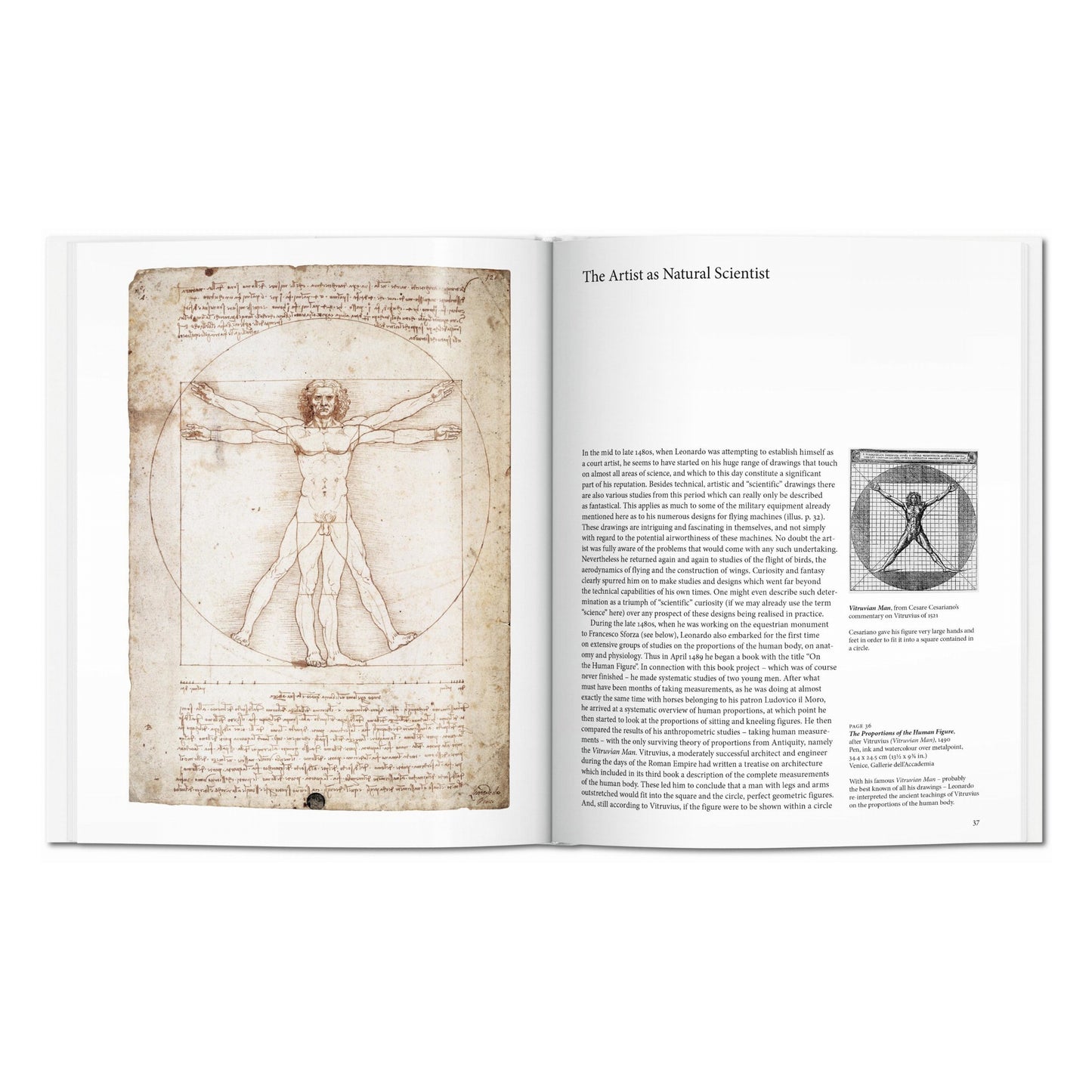 Leonardo (Italian)