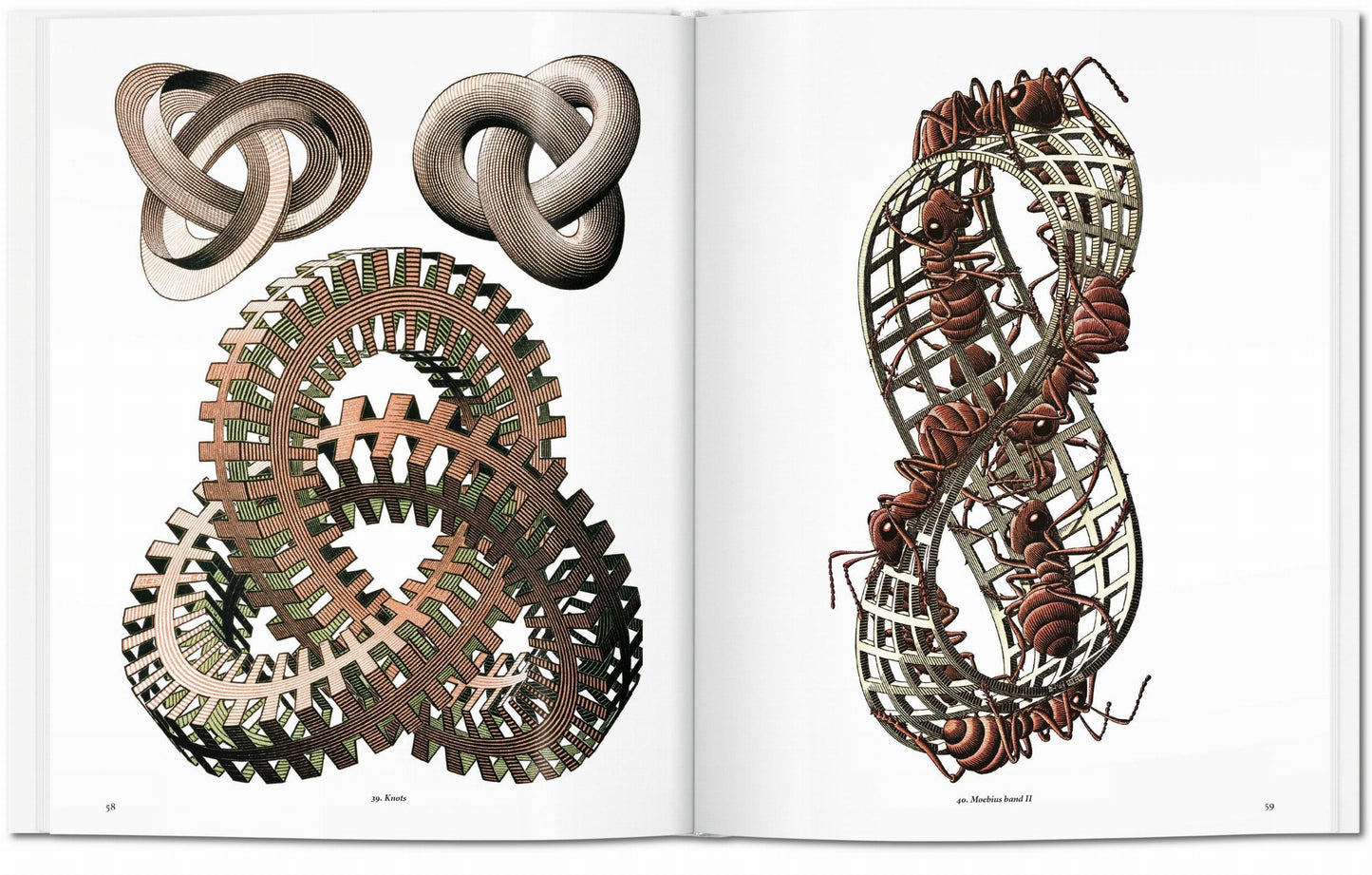 M.C. Escher. Grafiek en tekeningen (Dutch)