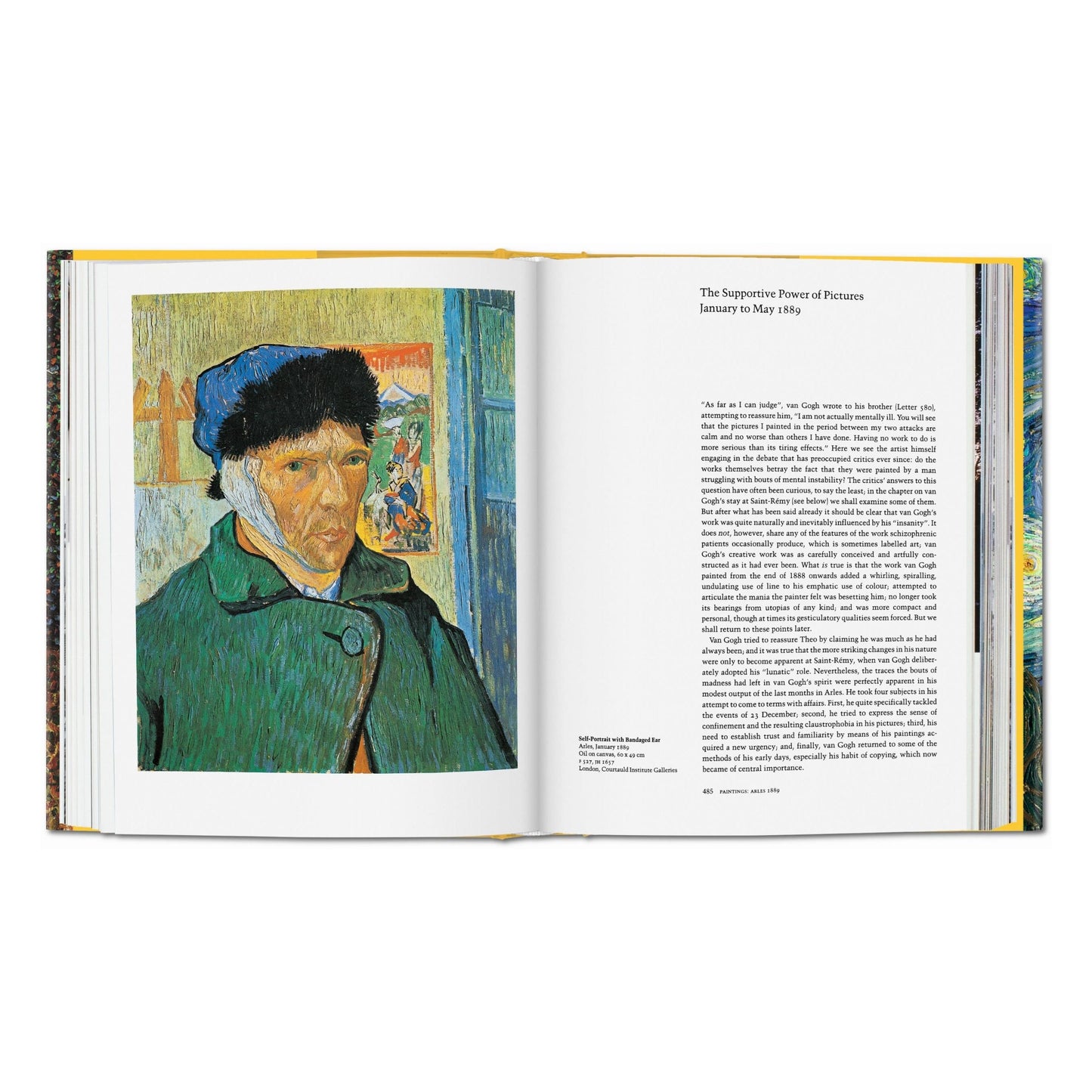 Van Gogh. L'œuvre complet - Peinture (French)