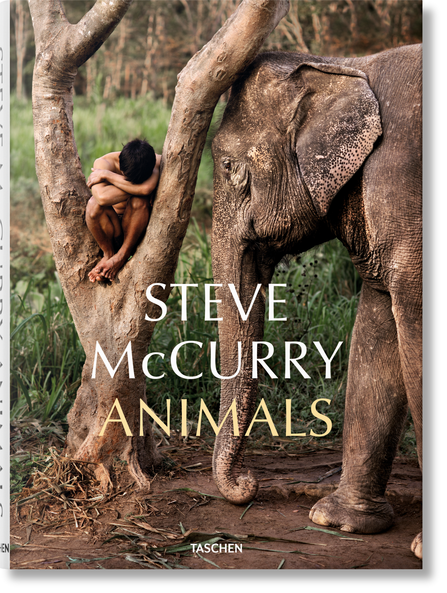 Steve McCurry. Animals (German, French, English)