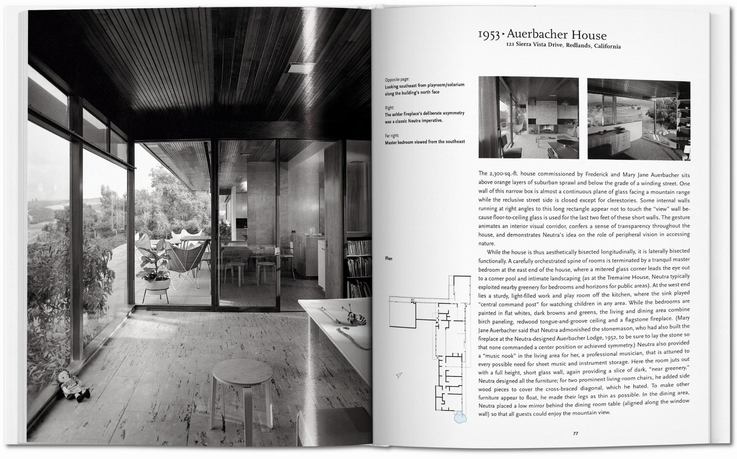 Neutra (Italian)