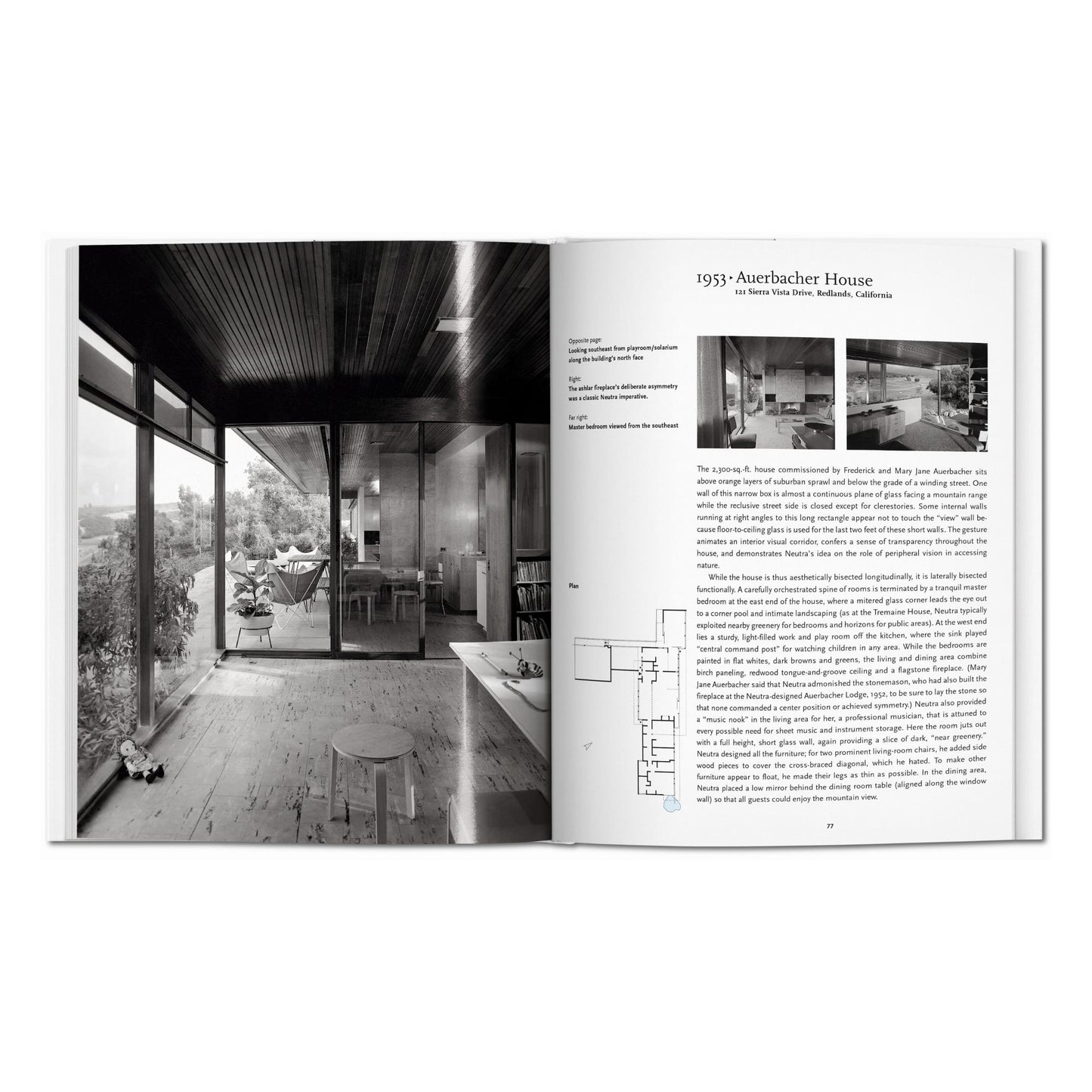 Neutra (German)