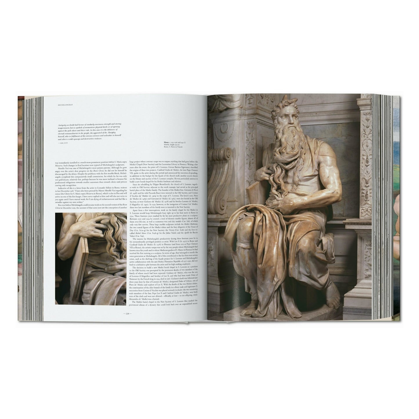 Michel-Ange. L'œuvre complet. Peinture, sculpture, architecture (French)
