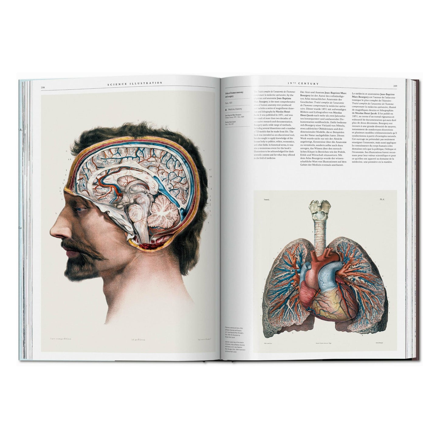 Science Illustration. A History of Visual Knowledge from the 15th Century to Today (German, French, English)