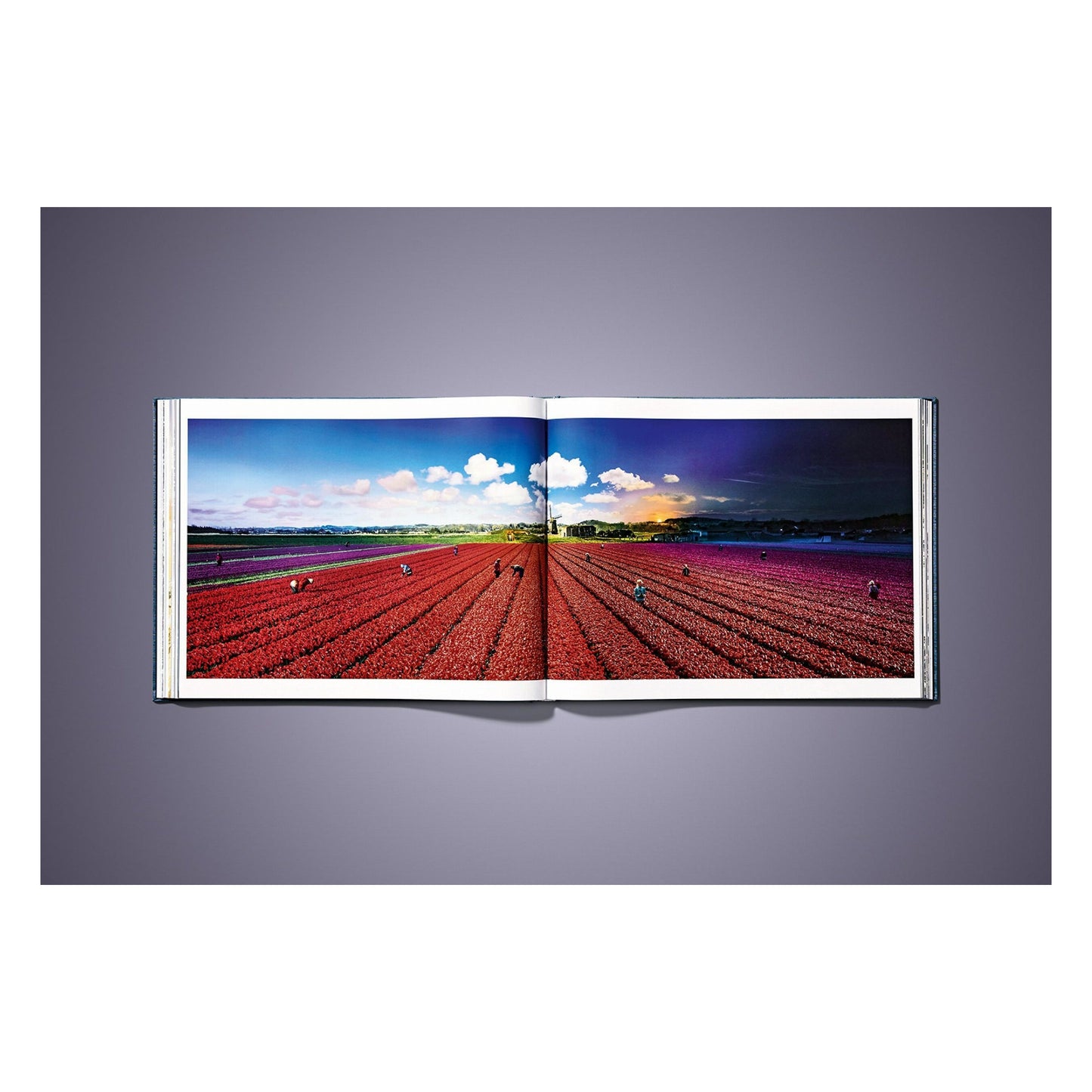 Stephen Wilkes. Day to Night. Art Edition A, 'Brooklyn Bridge, New York City, 2016' (German, French, English) (SA)