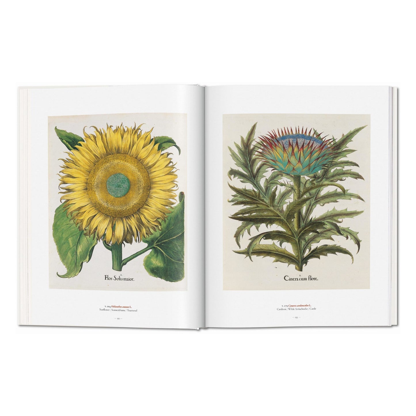 A Garden Eden. Masterpieces of Botanical Illustration (German, French, English)