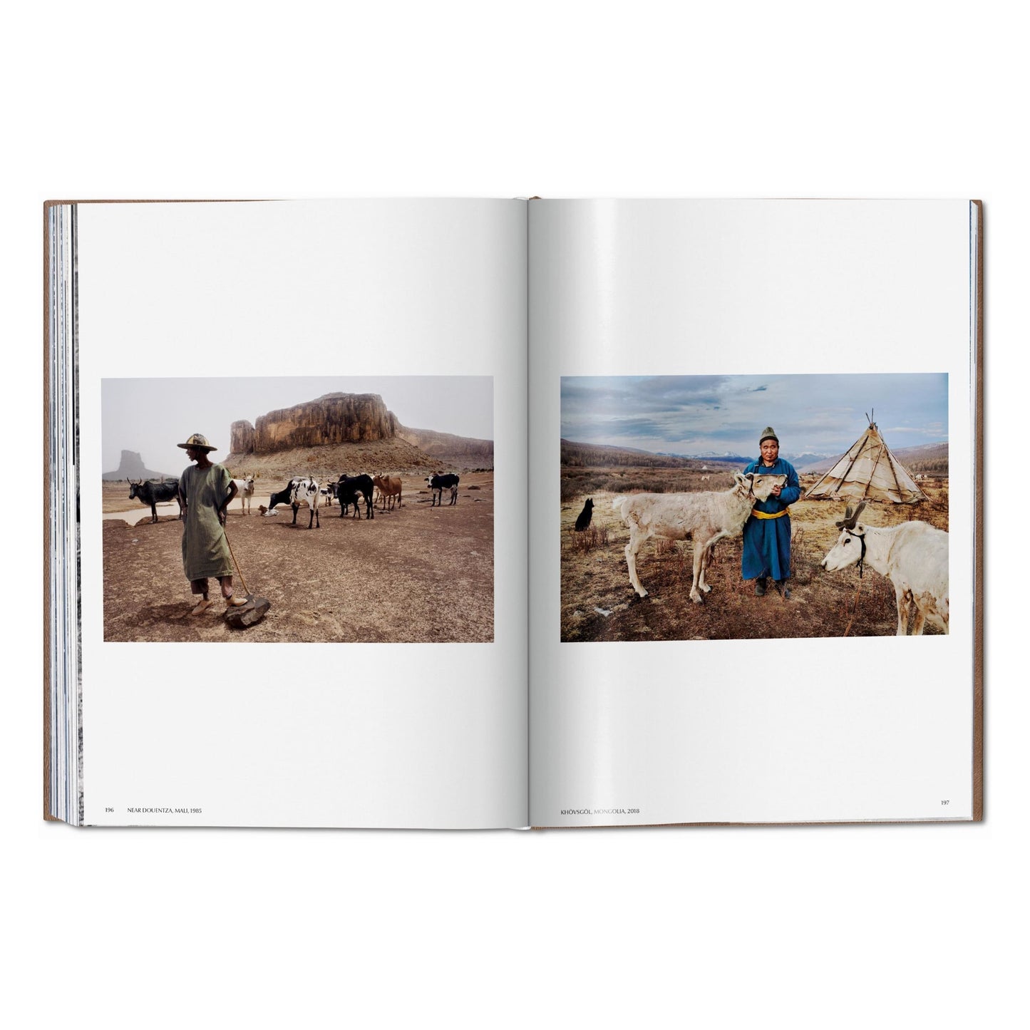 McCurry, Animals, Art A, Chiang Mai (German, French, English) (SA)
