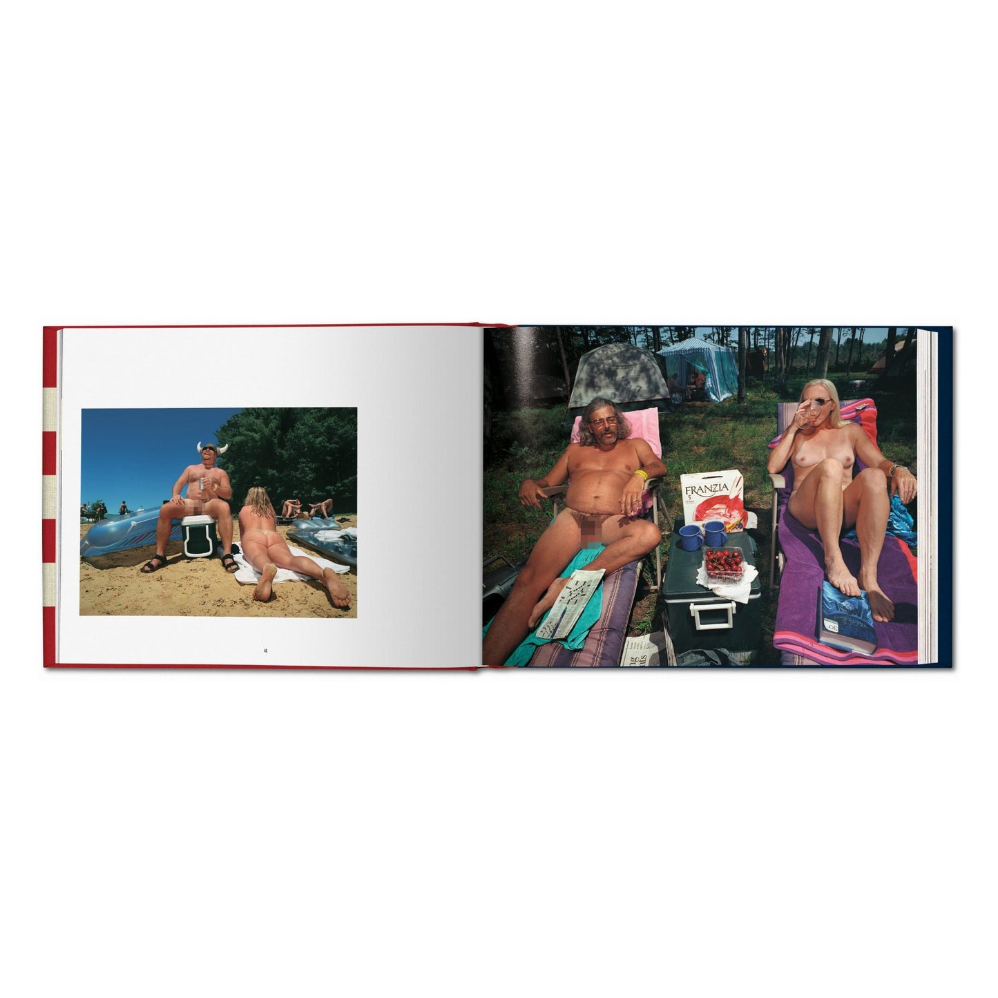 Naomi Harris. America Swings, Art Edition No. 51–100 ‘Barbecue’ (German, French, English) (SA)