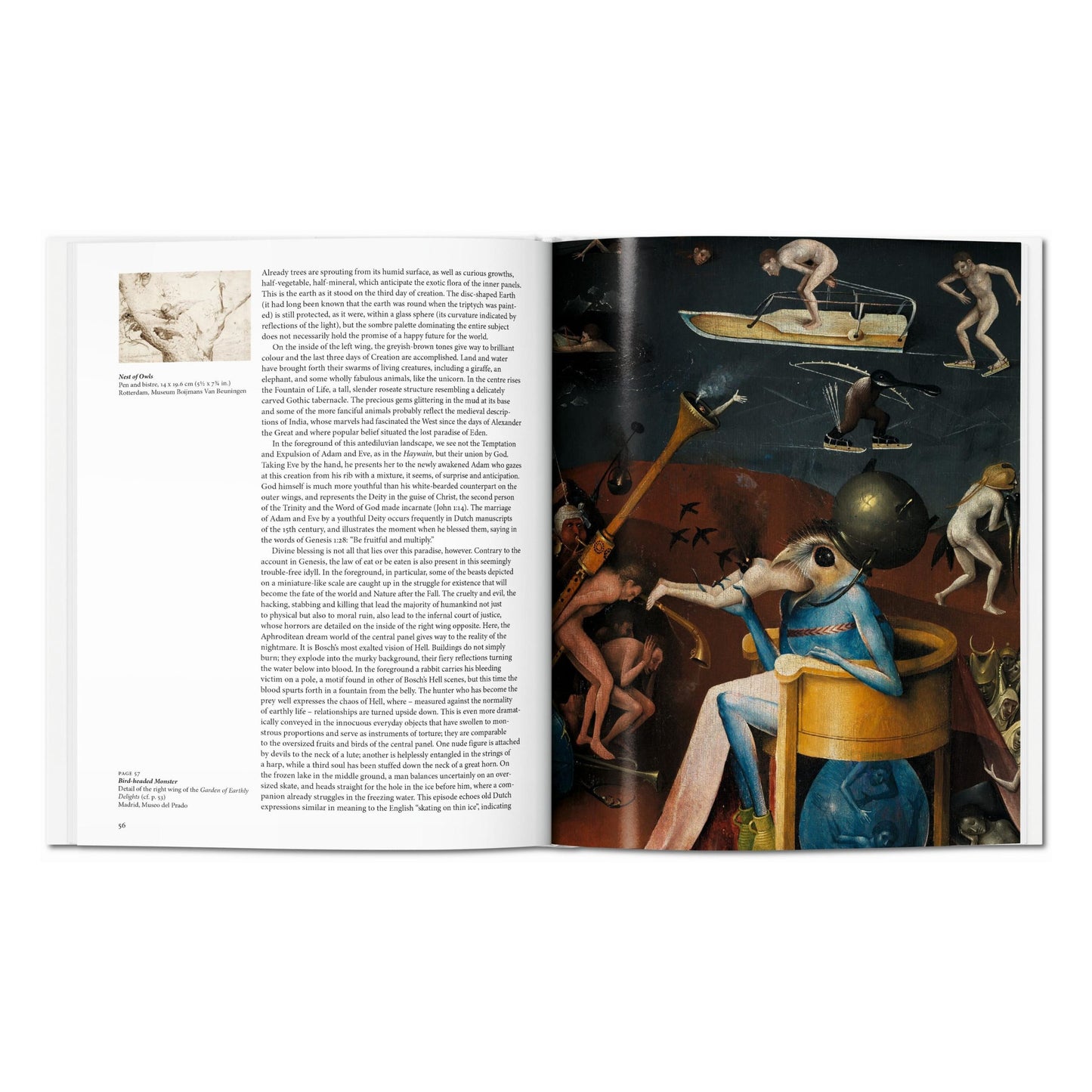 El Bosco (Spanish)