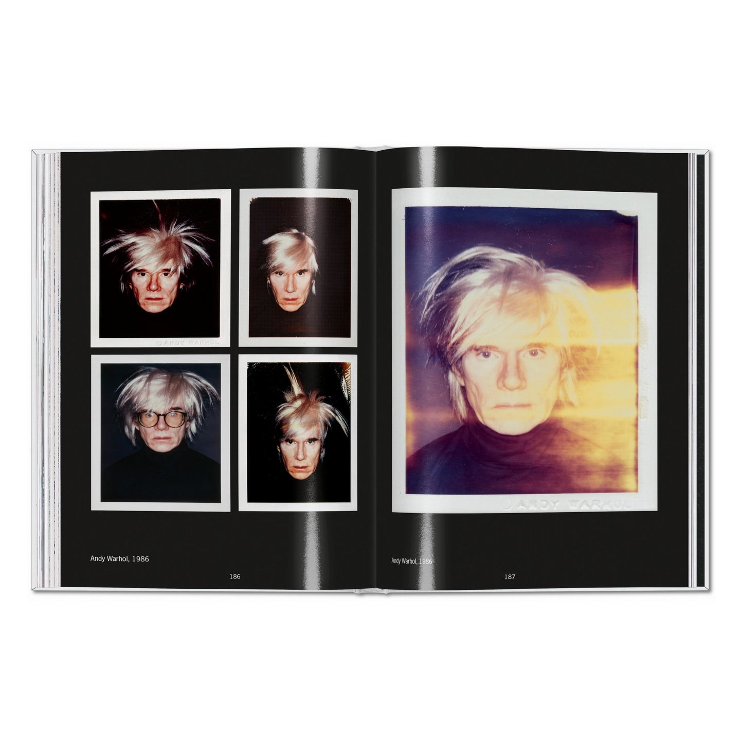 Andy Warhol. Polaroids 1958–1987 (English)