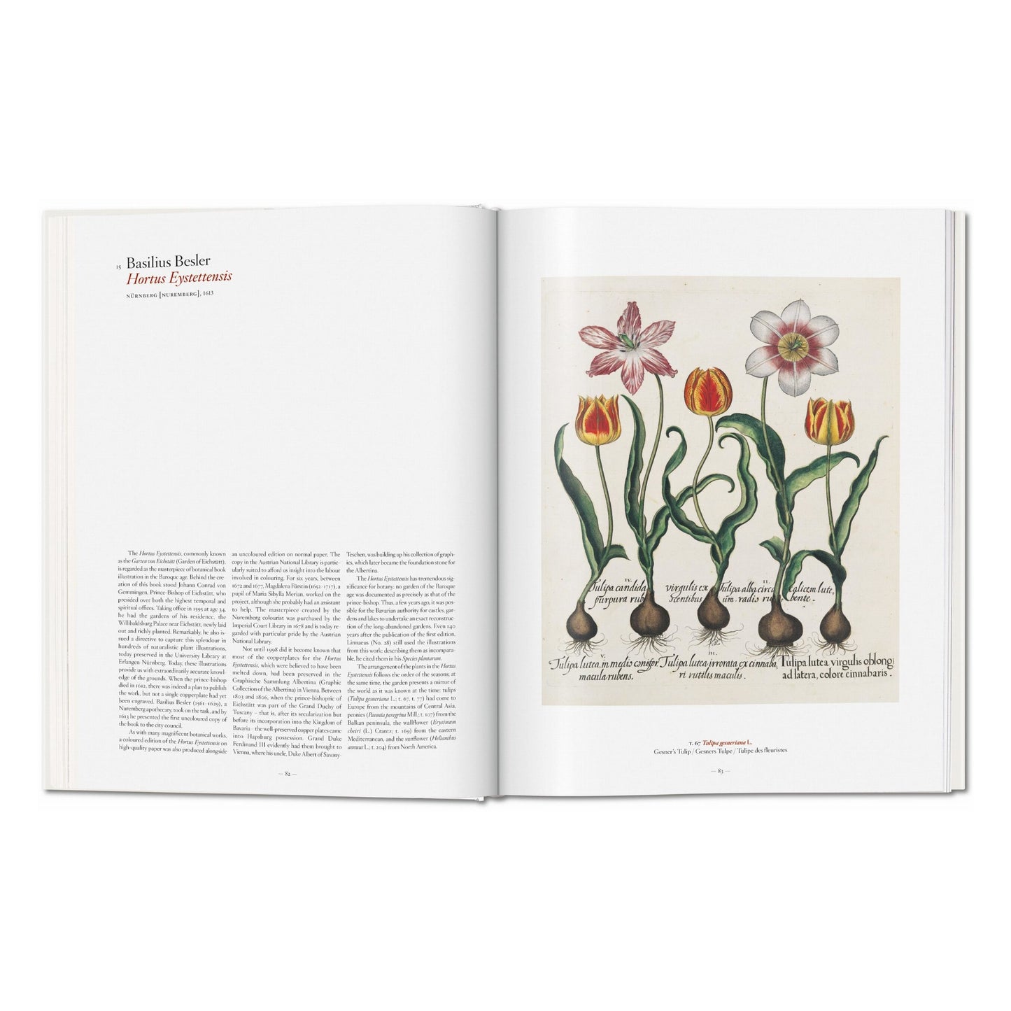 A Garden Eden. Masterpieces of Botanical Illustration (Spanish, English, Italian)
