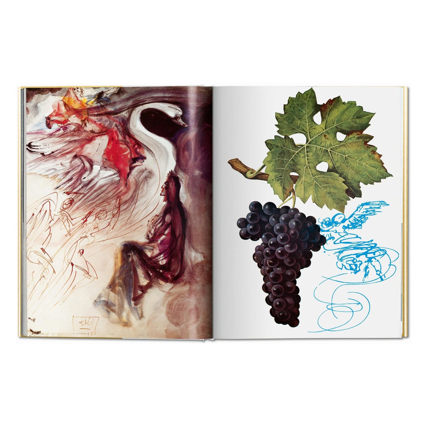 Dalí. The Wines of Gala (English)