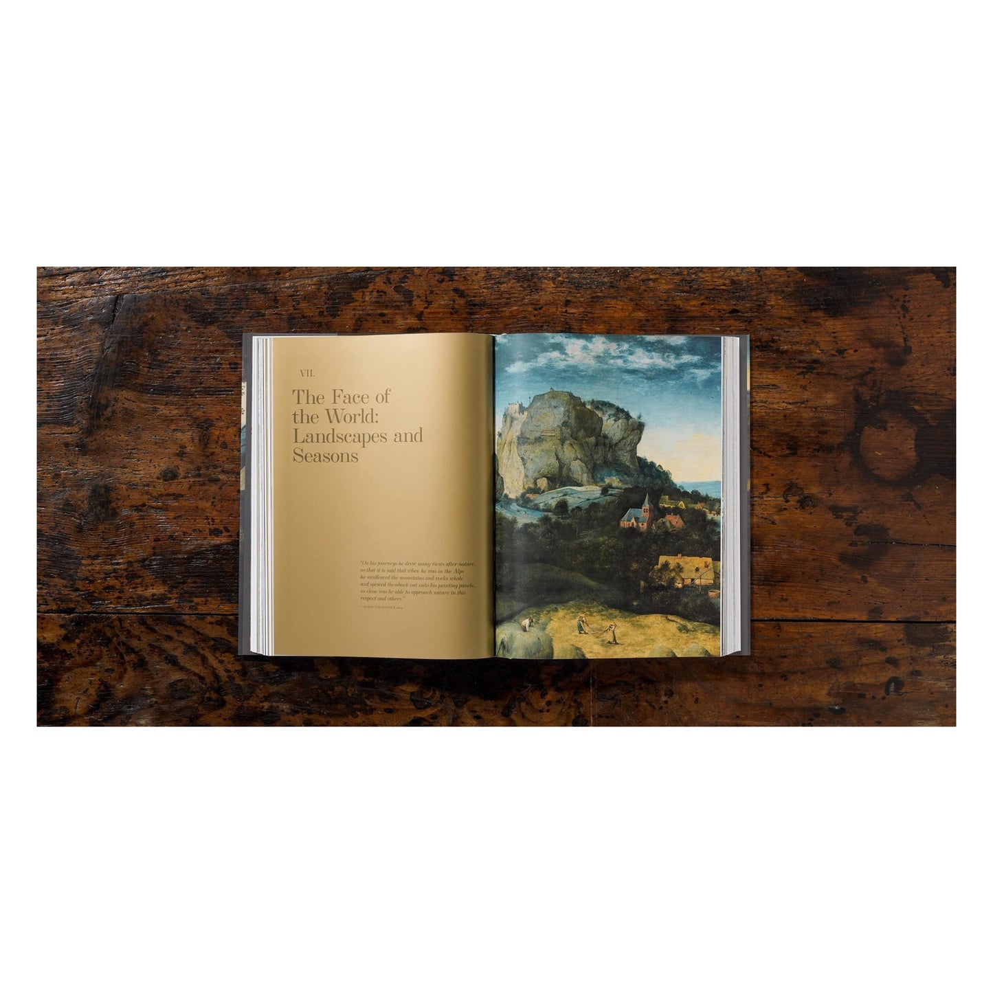 Bruegel. Das vollständige Werk (German)