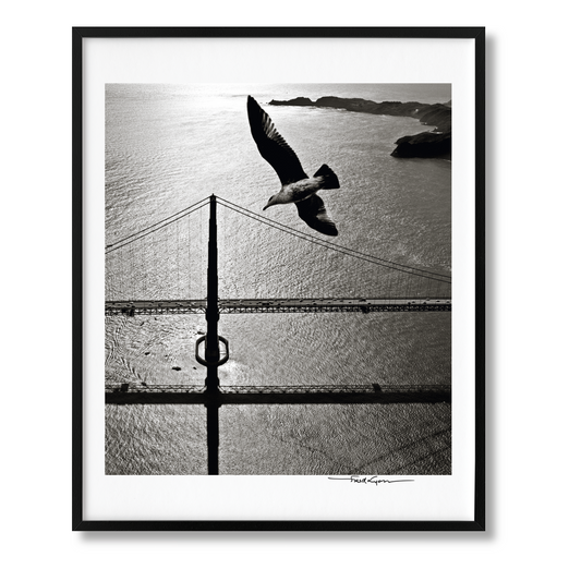 San Francisco. Portrait of a City, Art Edition No. 76–150 'Seagull over Golden Gate Bridge, early 1950s' (German, French, English)