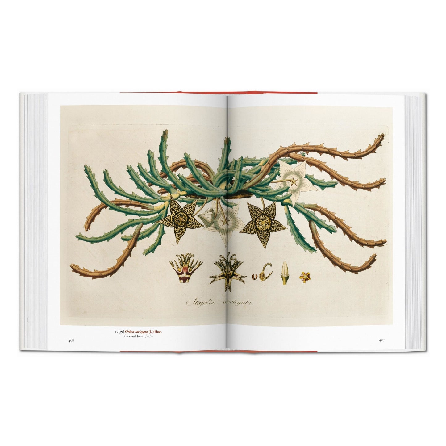 A Garden Eden. Masterpieces of Botanical Illustration. 45th Ed. (German, French, English)