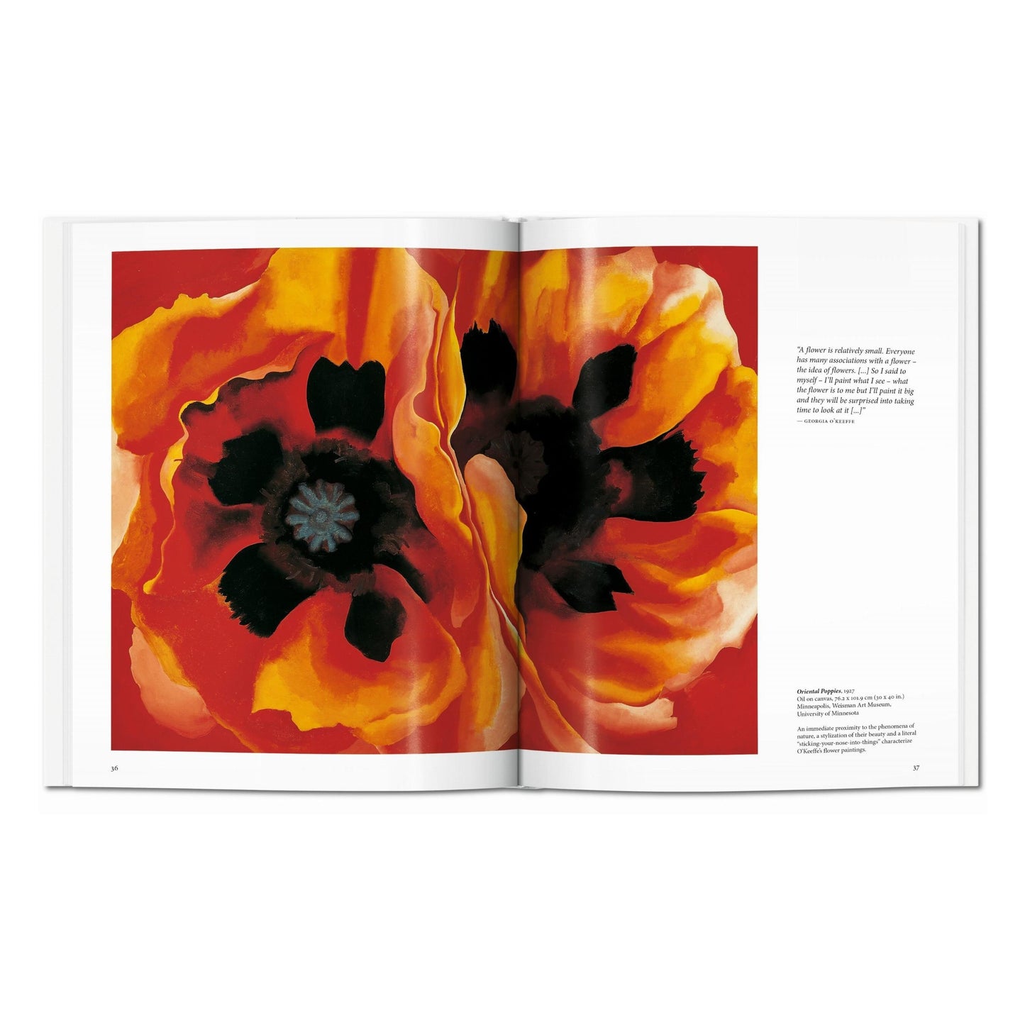 O'Keeffe (German)